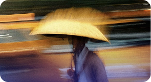the monsoon walker