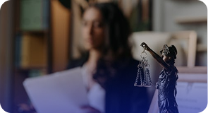 the lawyer in court